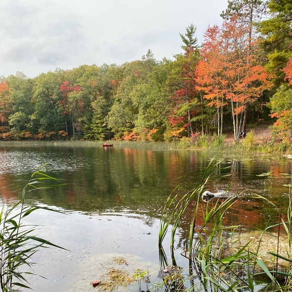 Meet your Posher, Marla - Picture 1 of 1